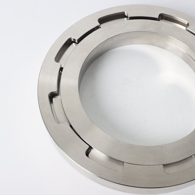ASME B16.5 Class 300 ASTM A182 F316LSterilizer Flange