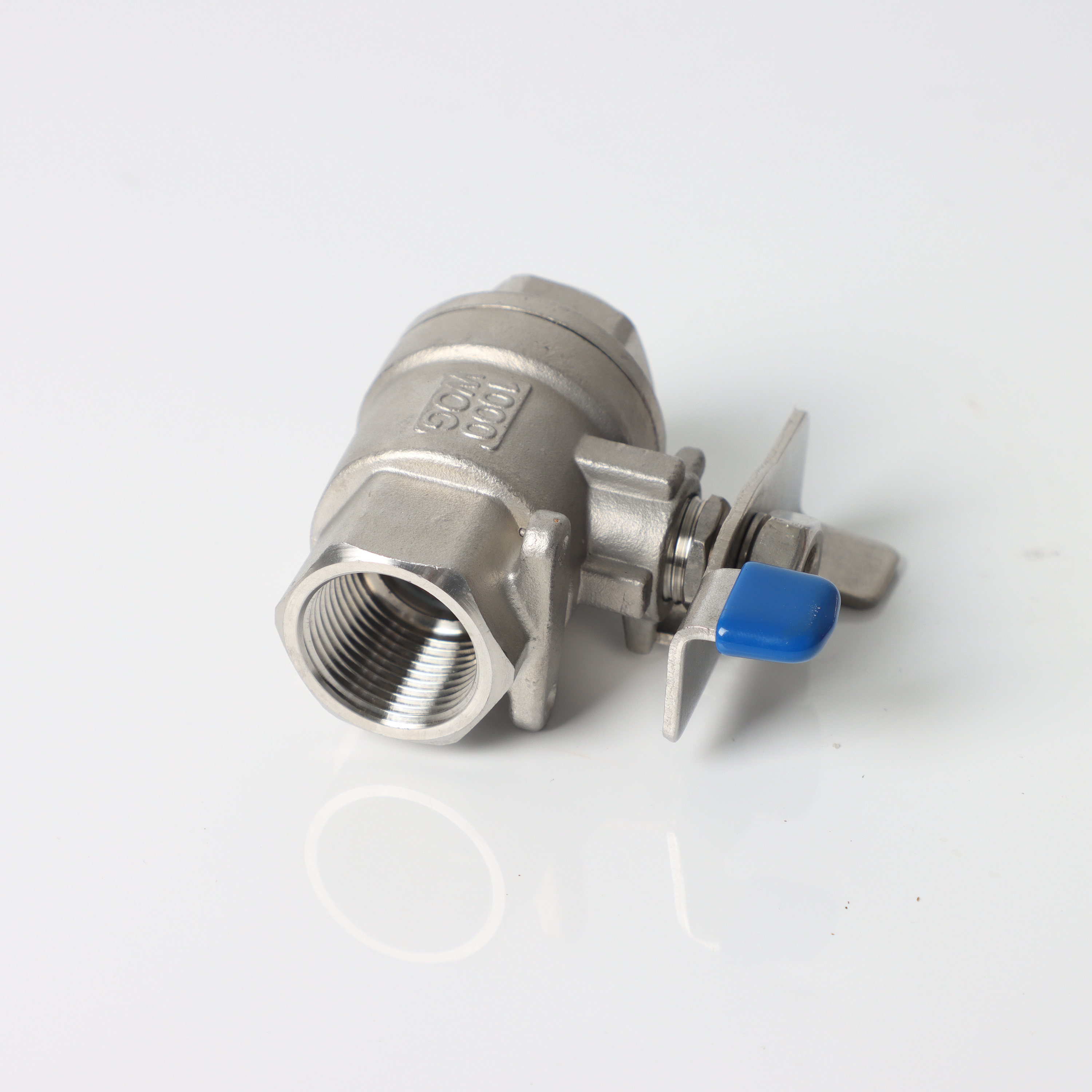 Lap Joint Flange (LJ)