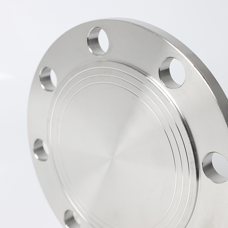 ANSI B16.5 2500LB Stainless Steel CNC Machining of Oil Pipe BL Blind Flange