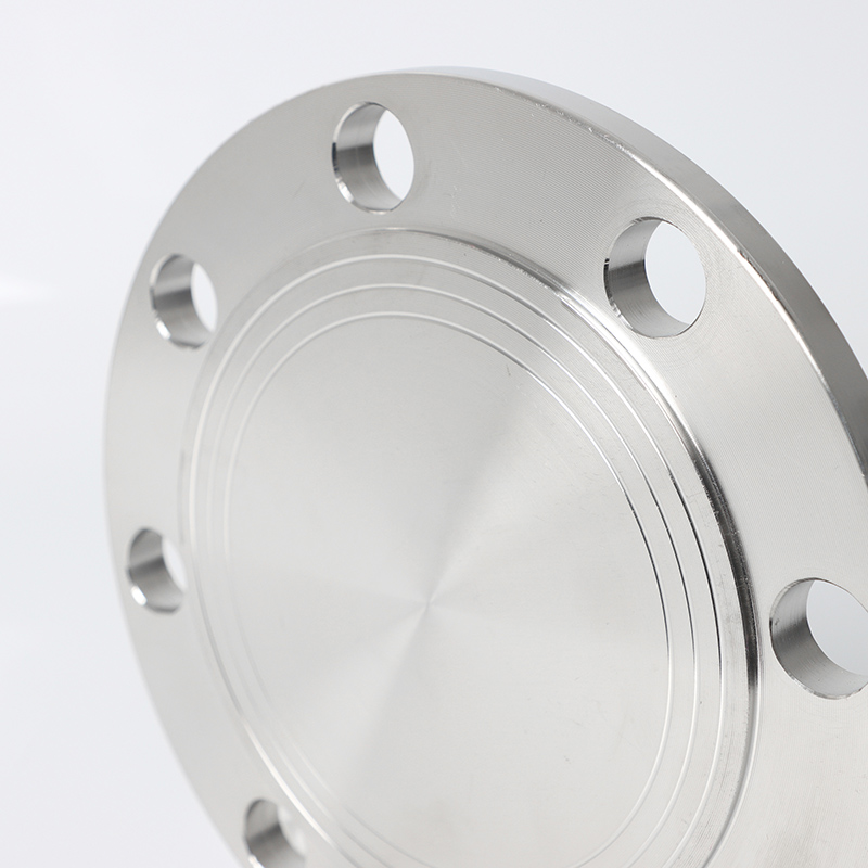 SS Flange