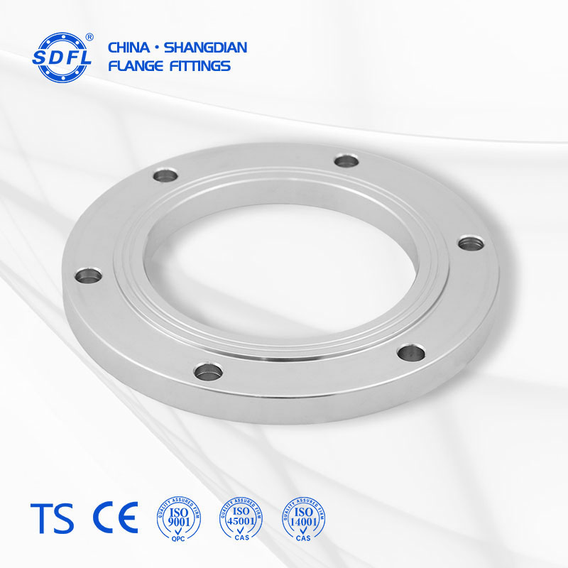 316L stainless steel plate flange, high pressure plate flange, fluid equipment flange