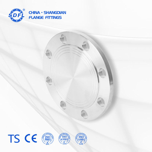 ANSI B16.5 2500LB Stainless Steel CNC Machining of Oil Pipe BL Blind Flange