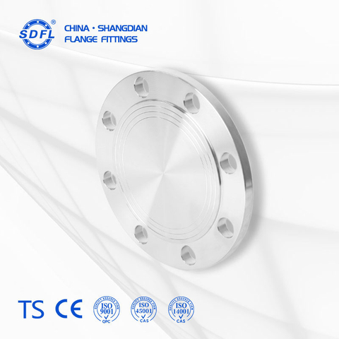 ANSI B16.5 2500LB Stainless Steel CNC Machining of Oil Pipe BL Blind Flange