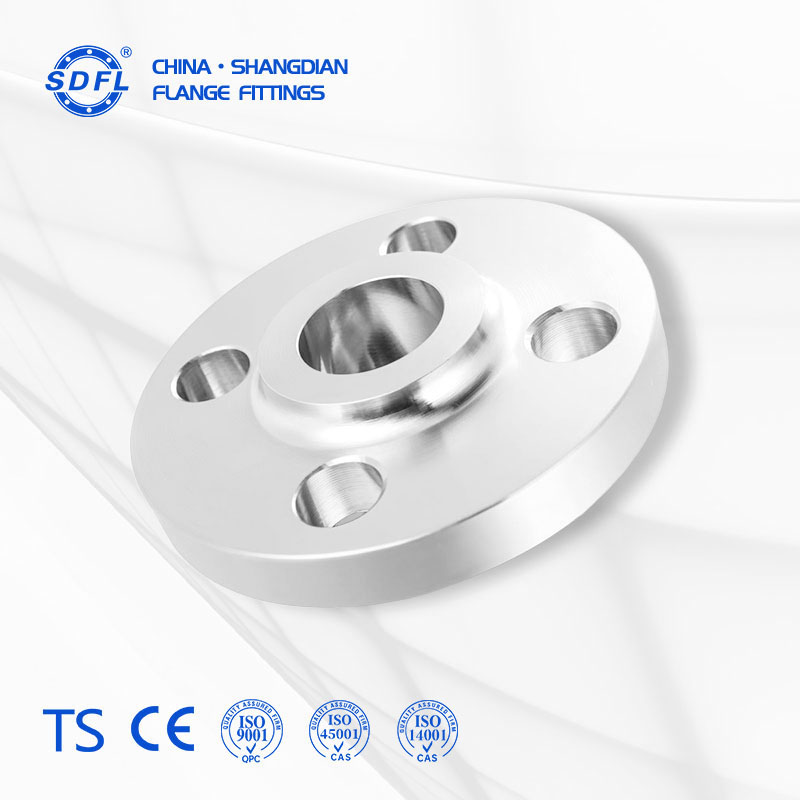 EN 1092-1 12B DN50 PN10-100 Flange