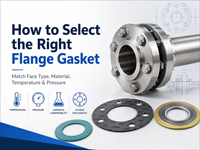 //iqrorwxhjprnli5q-static.micyjz.com/cloud/ppBprKjllqSRplmjlqpkkp/How-to-Select-the-Right-Flange-Gasket.png