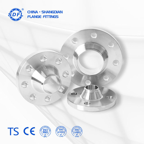 ASME B16.5 / ANSI B16.5 Class 300 Stainless Steel Welding Neck Flange (WN)