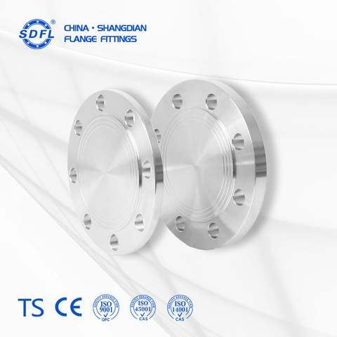 316L Low Carbon Molybdenum PN25 RF Blind Flange Marine Offshore Salt Fog High Humidity Pipeline End Cap