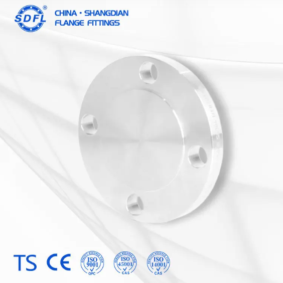 Stainless Steel Flange