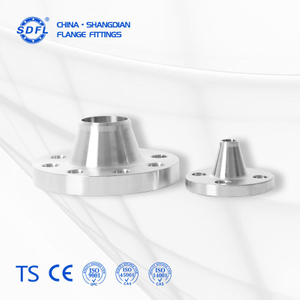 ASME EN DN80 PN10-100 Stainless Steel Plate Flange 