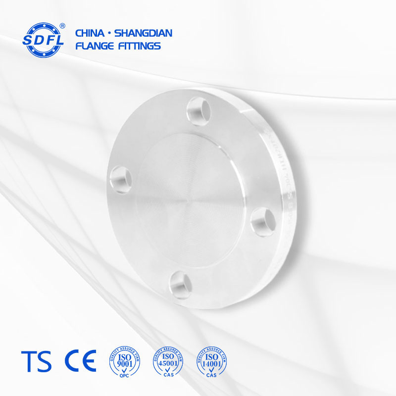 ASME B16.5 150LB Stainless Steel Blind Flange (BL)