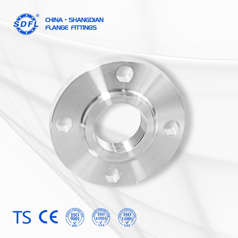 316L threaded flange, seawater resistant threaded flange, marine engineering flange