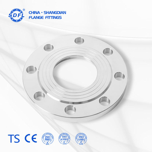 JIS B2220 10K 50A FF PL Stainless Steel Flat Face Flange